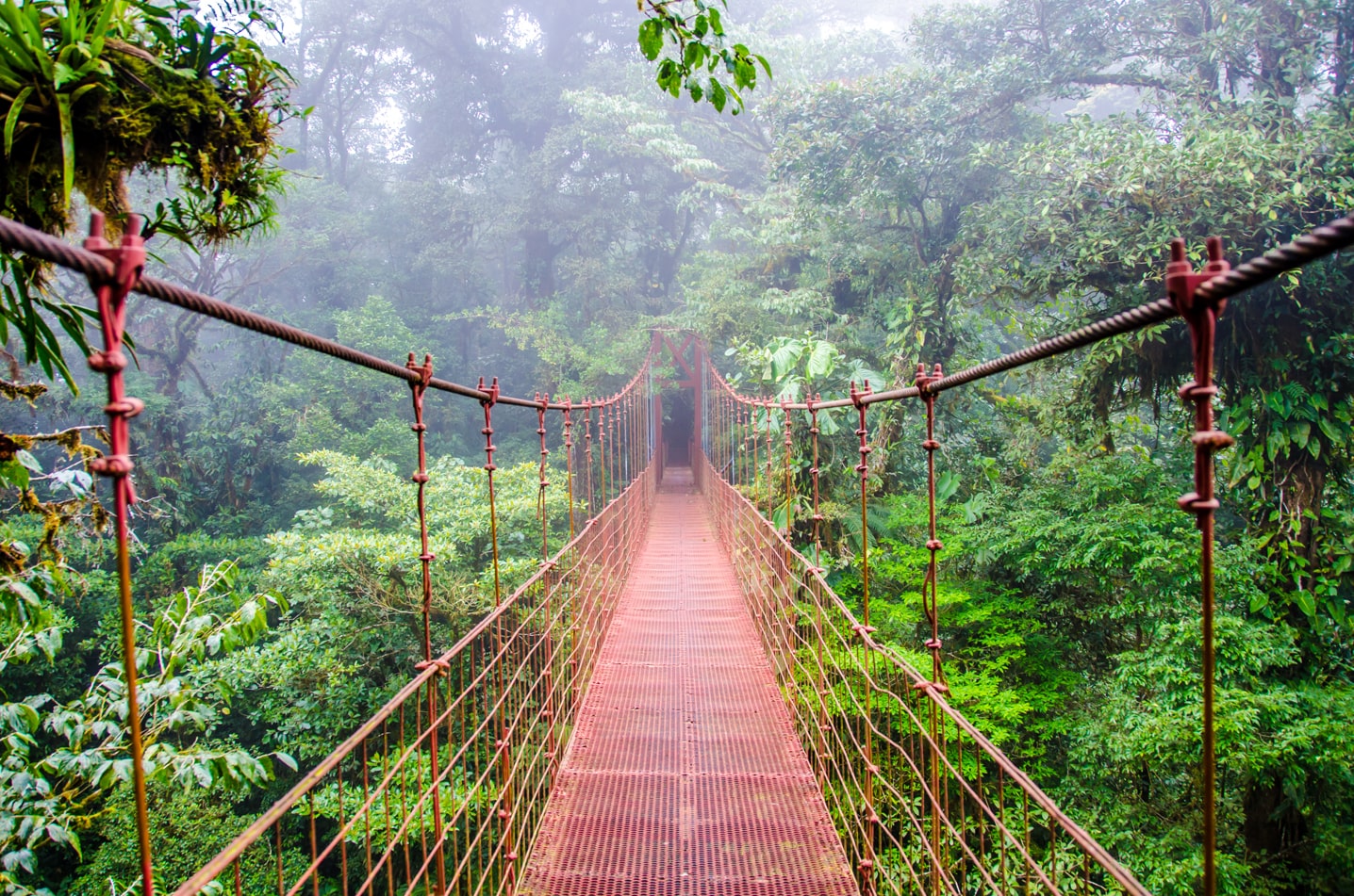 Your Ultimate Guide to Monteverde Cloud Forest Tours: Where to Go and What to Expect