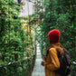 Puentes Colgantes en Treetopia Park