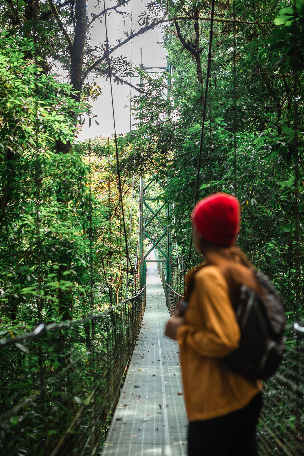 Ponts suspendus au Treetopia Park