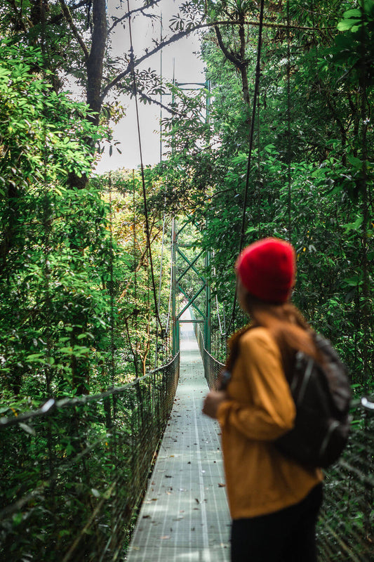 Hanging Bridges at Treetopia Park