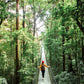 Ponts suspendus au Treetopia Park