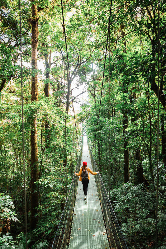 Ponts suspendus au Treetopia Park