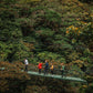 Ponts suspendus au Treetopia Park