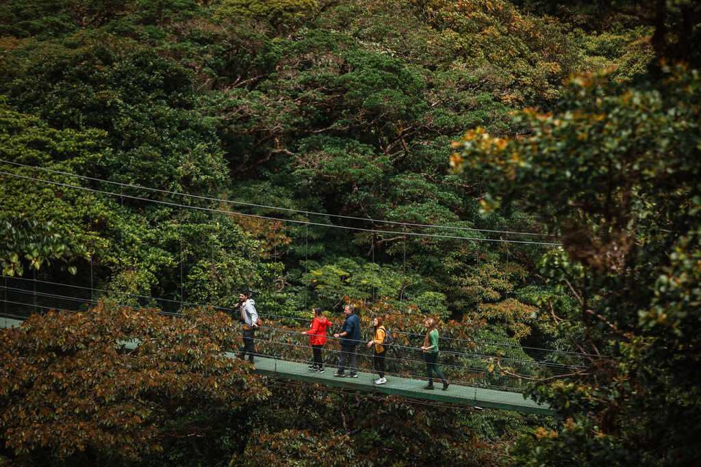 Ponts suspendus au Treetopia Park