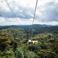 TreeTram Cableway at Treetopia Park