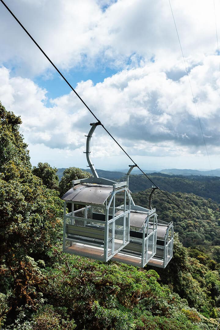 Téléphérique TreeTram au Treetopia Park