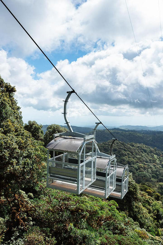 Teleférico TreeTram en Treetopia Park