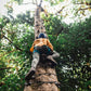 Parcours de défi arboricole au Treetopia Park