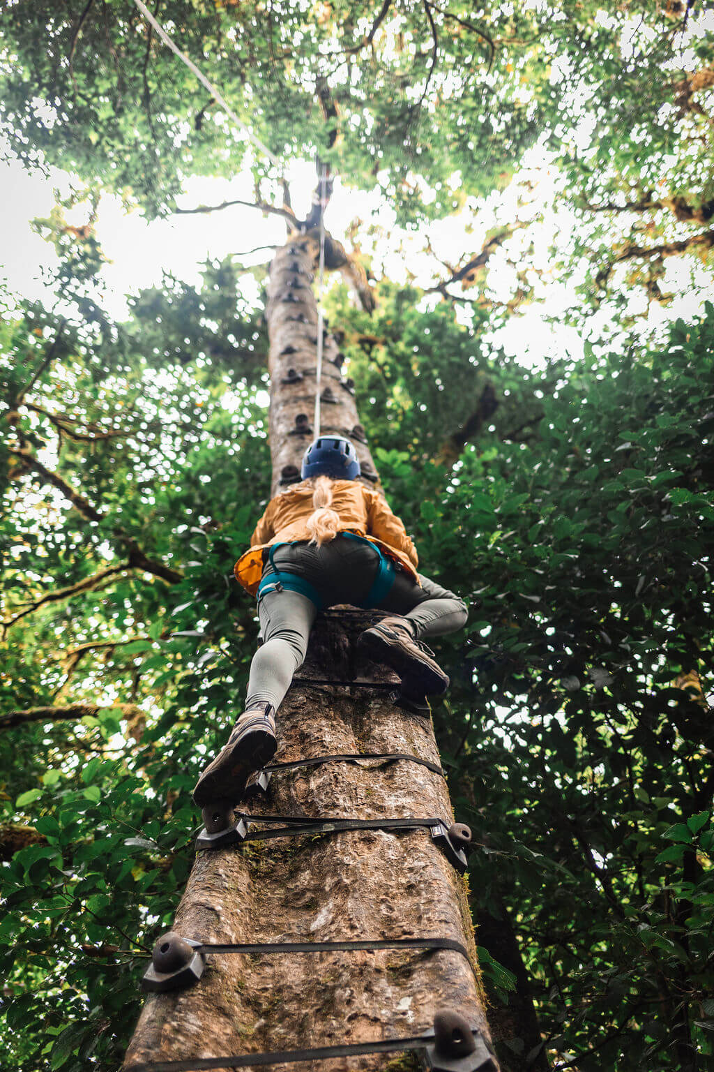 Parcours de défi arboricole au Treetopia Park