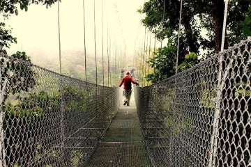 Hanging Bridges at 100% Aventura Park