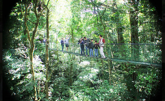 Puentes Colgantes en 100% Aventura