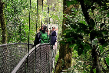 Hanging Bridges at 100% Aventura Park