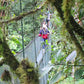 Hanging Bridges at 100% Aventura Park