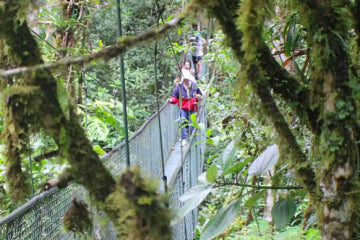 Puentes Colgantes en 100% Aventura