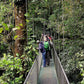 Hanging Bridges at 100% Aventura Park