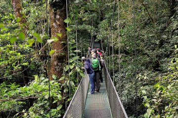 Puentes Colgantes en 100% Aventura