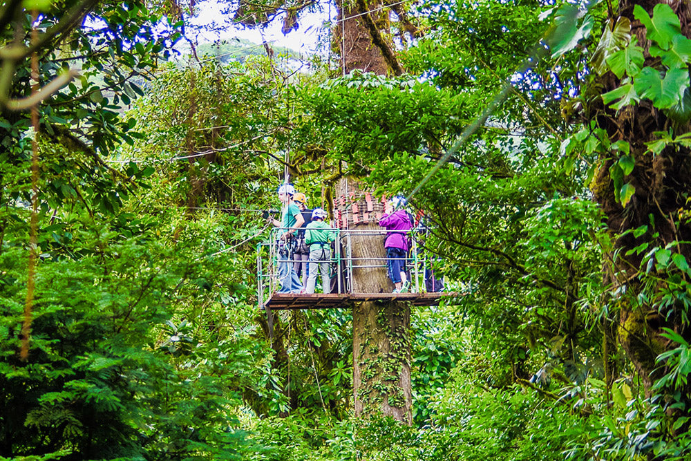 Canopy (Tirolina) en Selvatura Park