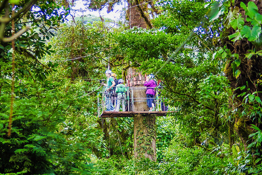 Zipline at Selvatura Park