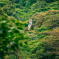 Canopy (Tirolina) en Selvatura Park