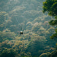 Canopy (Tirolina) en Selvatura Park