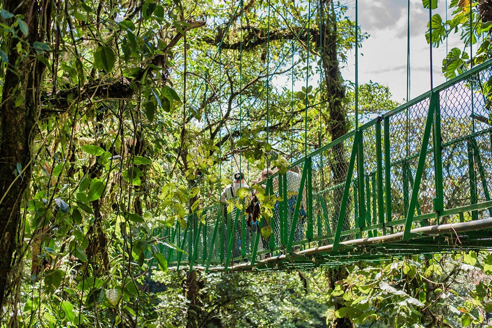 Ponts suspendus au Selvatura PARK