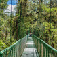 Ponts suspendus au Selvatura PARK