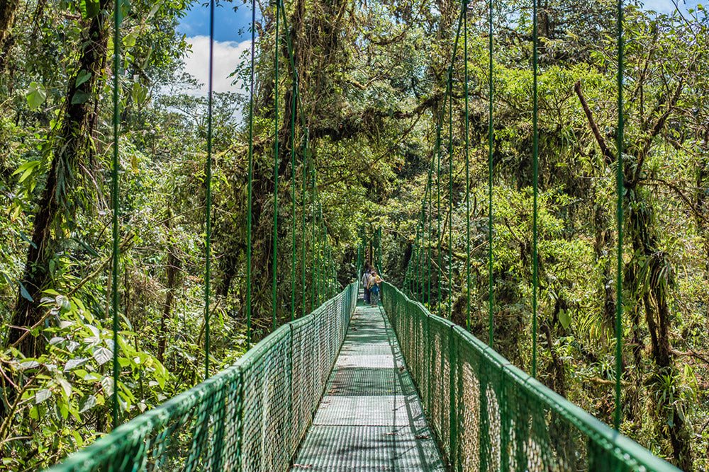 Puentes colgantes en el parque Selvatura