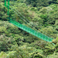 Puentes colgantes en el parque Selvatura