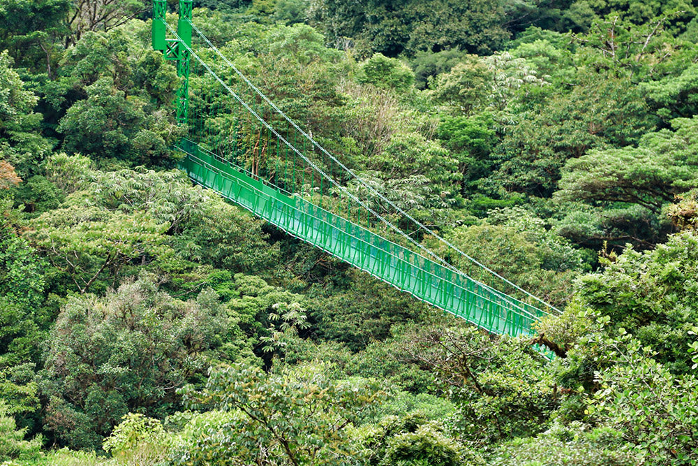 Puentes colgantes en el parque Selvatura