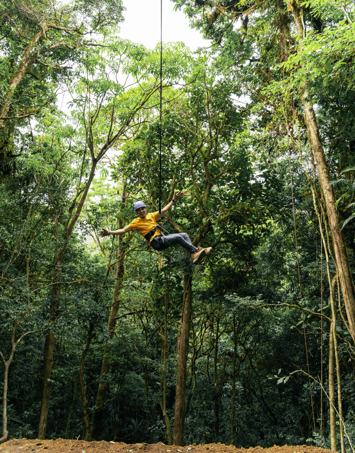 Parcours de défi arboricole au Treetopia Park