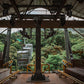 Téléphérique TreeTram au Treetopia Park