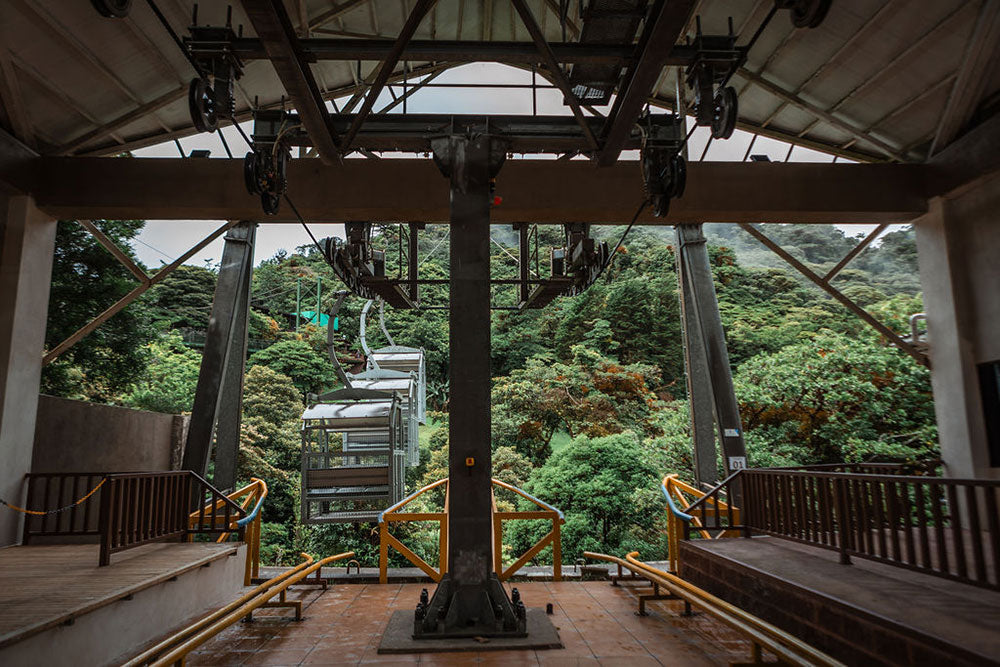 TreeTram Cableway at Treetopia Park