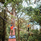 Parcours de défi arboricole au Treetopia Park