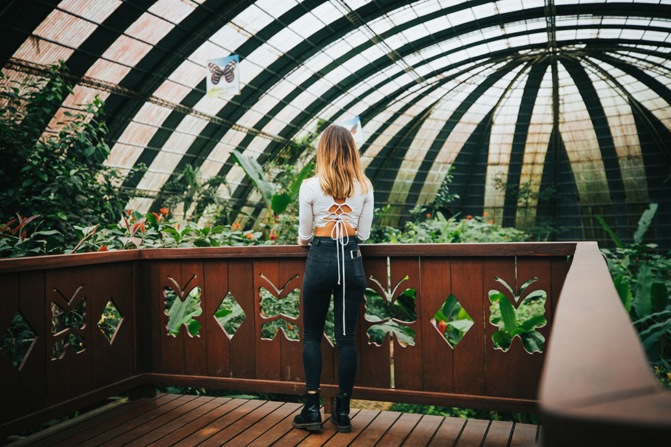 Jardin des Papillons du Selvatura Park