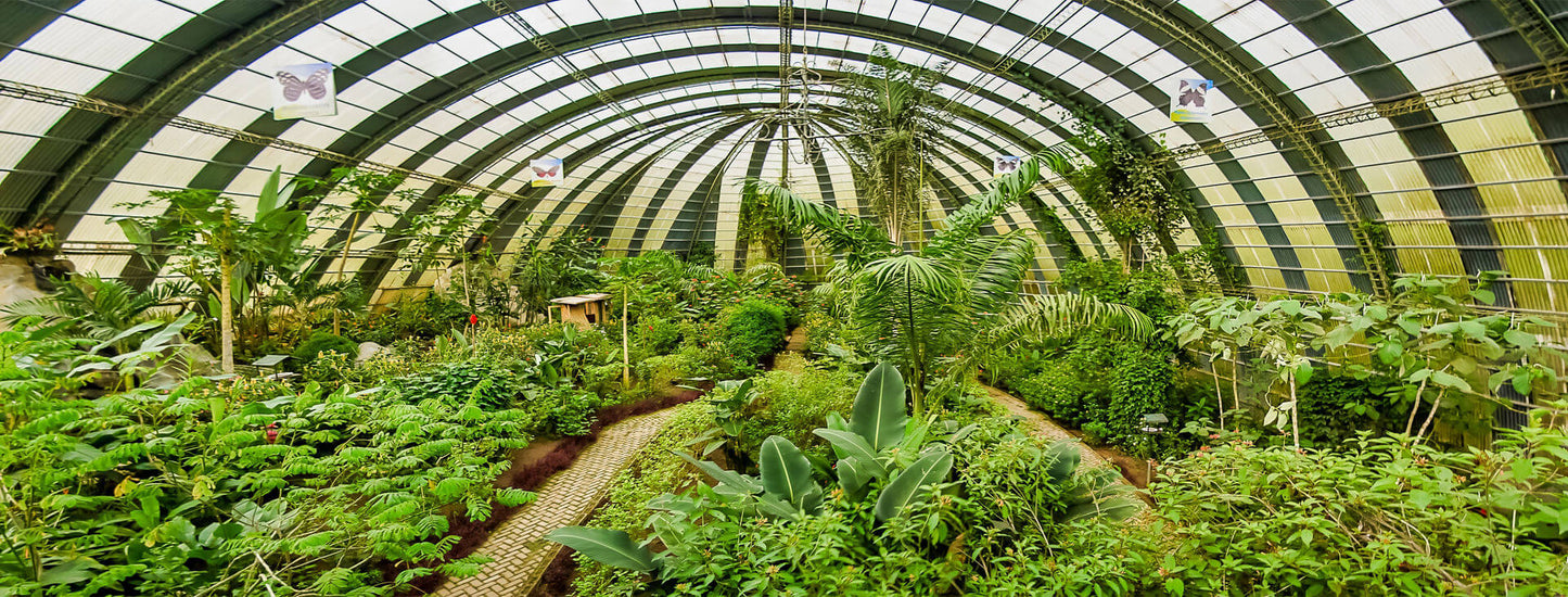 Jardin des Papillons du Selvatura Park