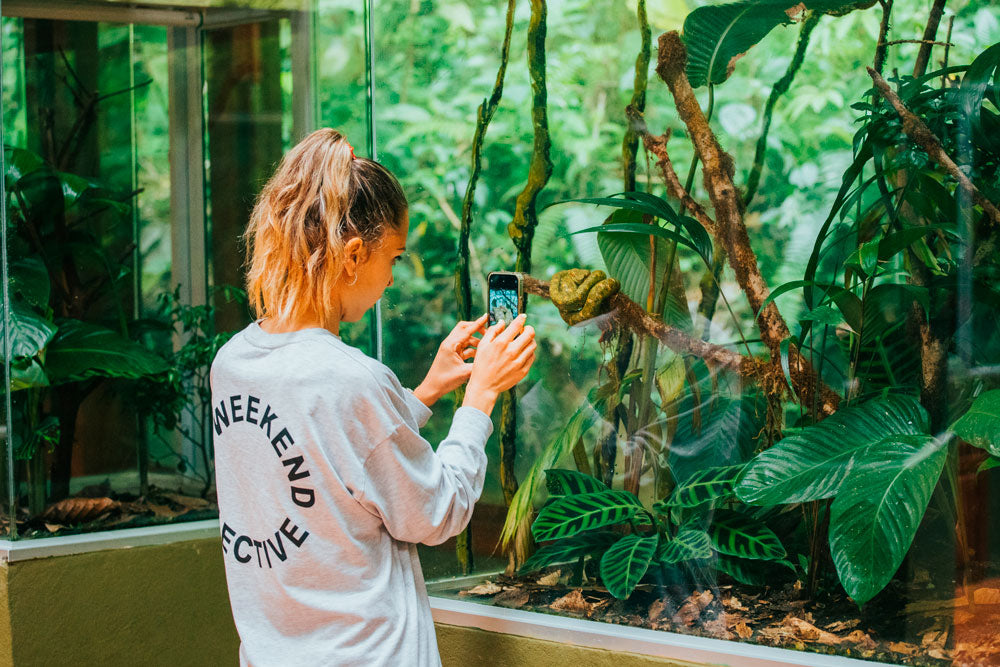 Exposition de Reptiles et d'Amphibiens au Selvatura Park