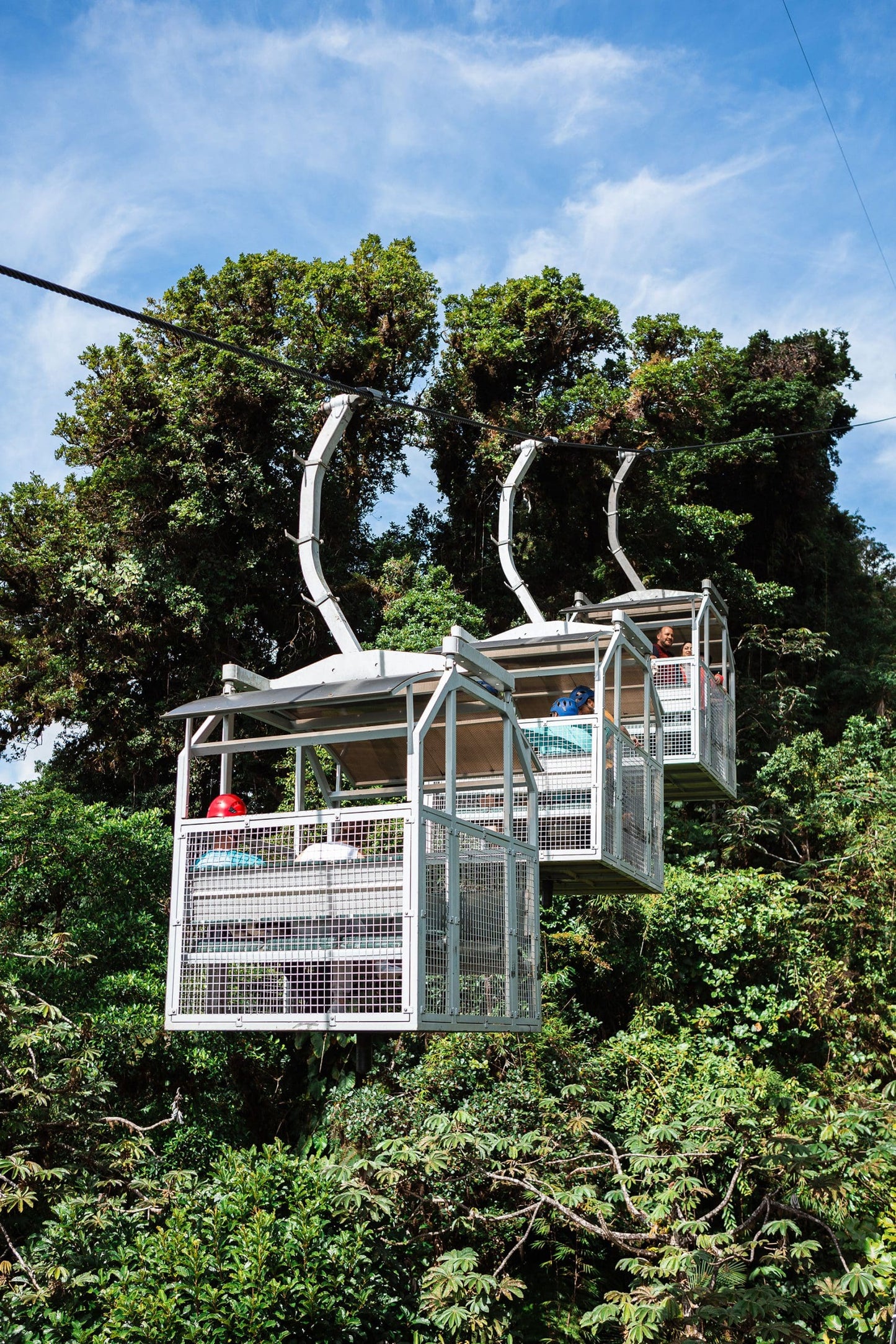 Teleférico TreeTram en Treetopia Park