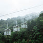 TreeTram Cableway at Treetopia Park