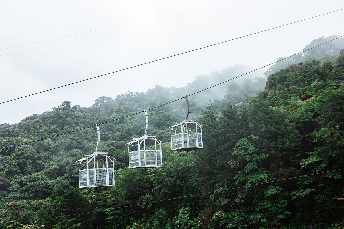 TreeTram Cableway at Treetopia Park