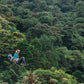 Tyrolienne au parc Treetopia