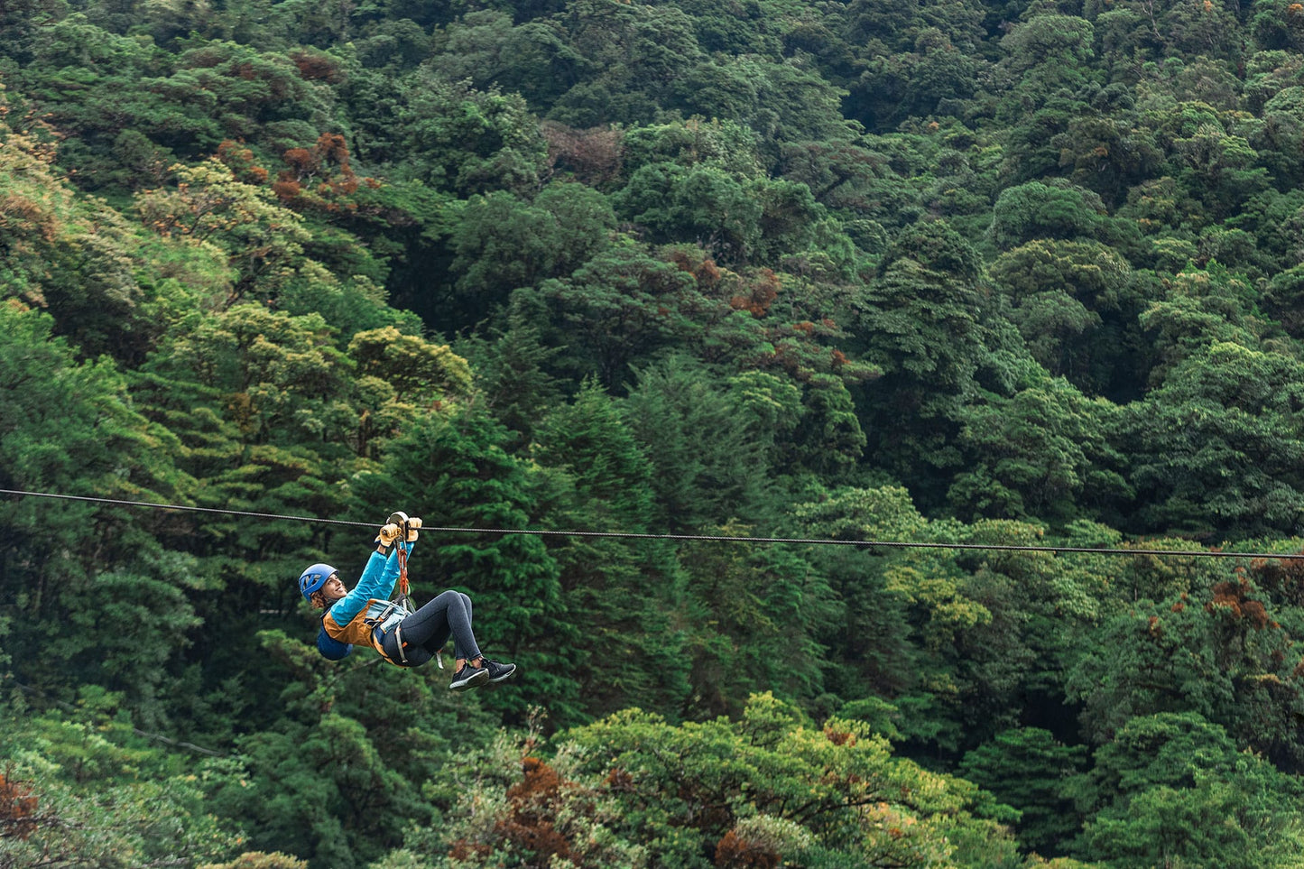 Tyrolienne au parc Treetopia