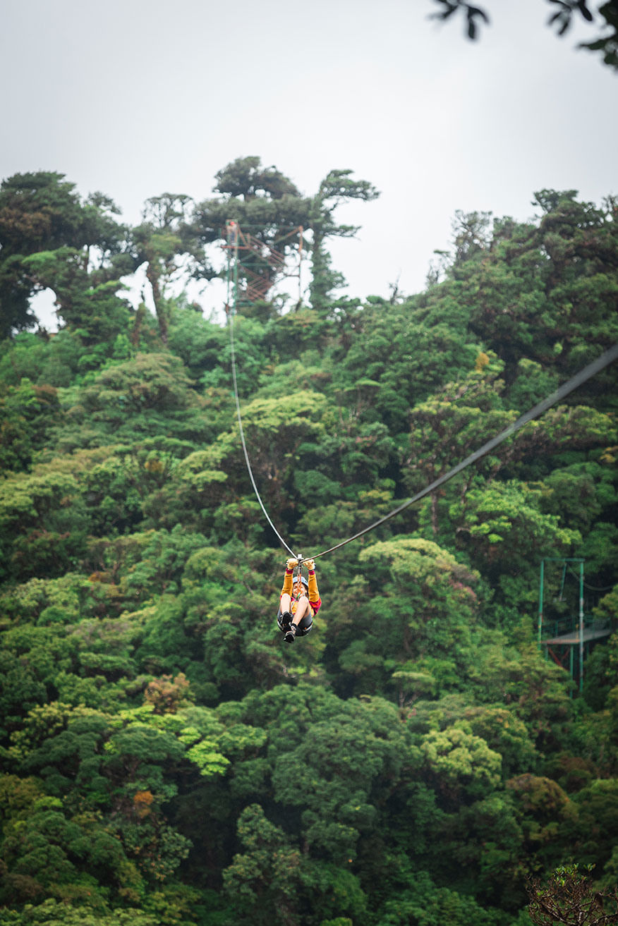 Canopy (Tirolina) en Treetopia Park